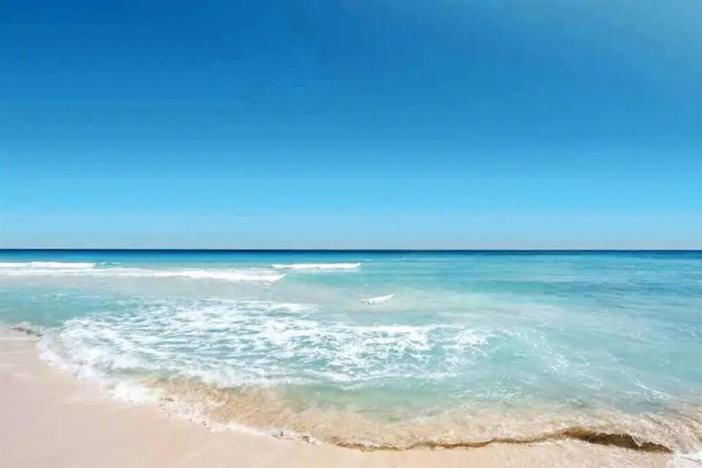 Lovely 1 Bedroom Unit Across From Lido Key Beach 萨拉索塔 外观 照片